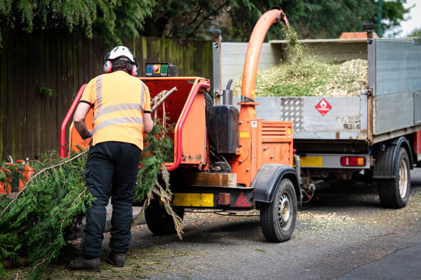 Best Tree Mulching  in Lake Dunlap, TX