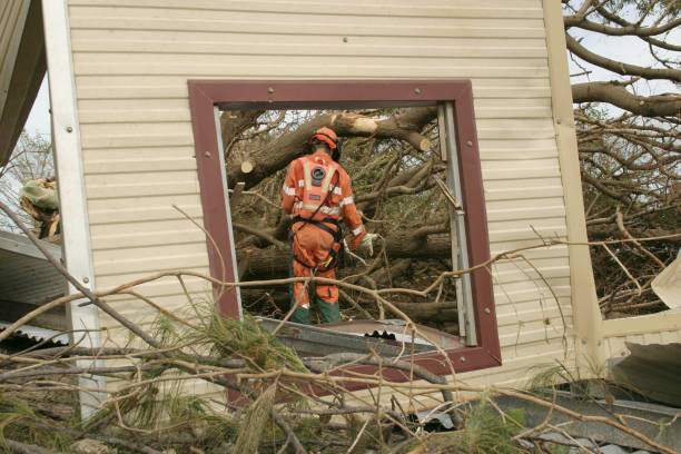 Best Tree and Shrub Care  in Lake Dunlap, TX